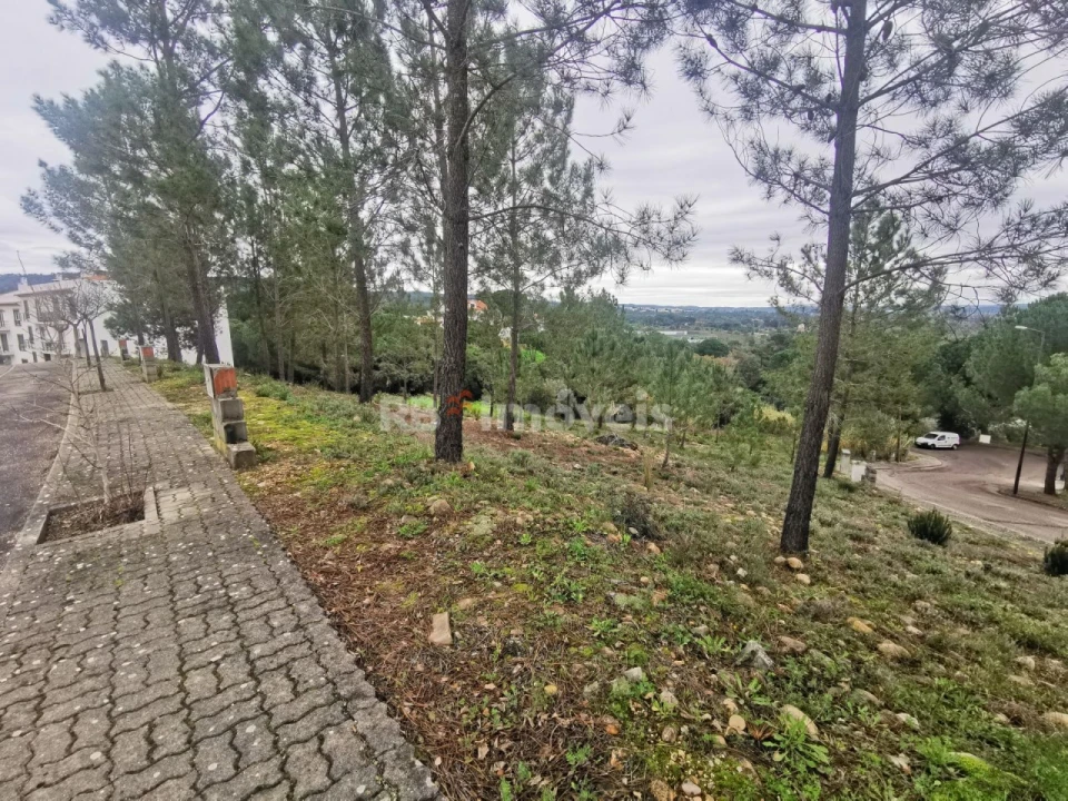 Terreno para Venda em Constancia Foto 3