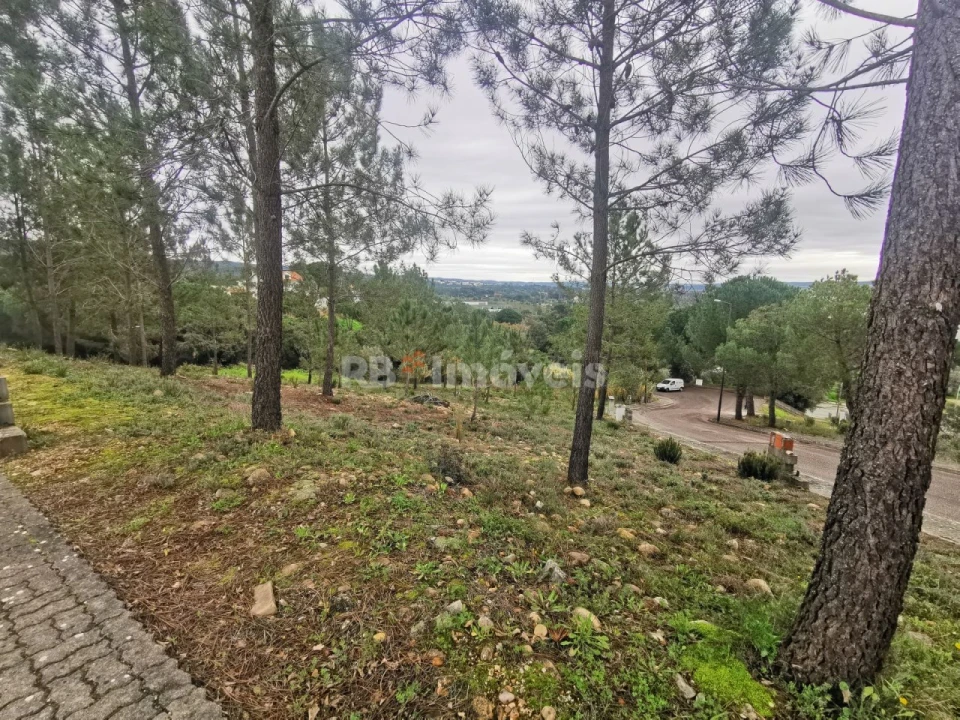 Terreno para Venda em Constancia Foto 1