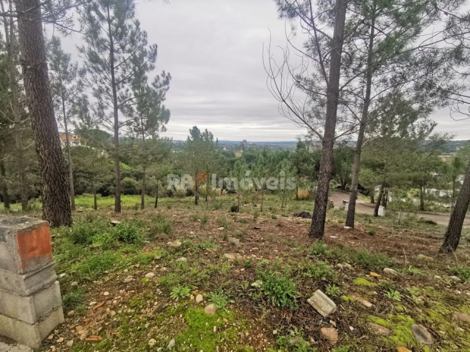 Terreno para Venda em Constancia Foto 5