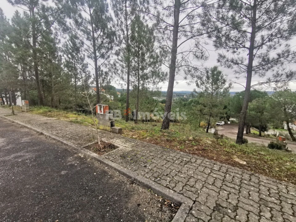 Terreno para Venda em Constancia Foto 6