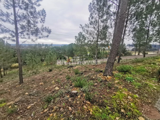 Terreno para Venda em Constancia Foto 4