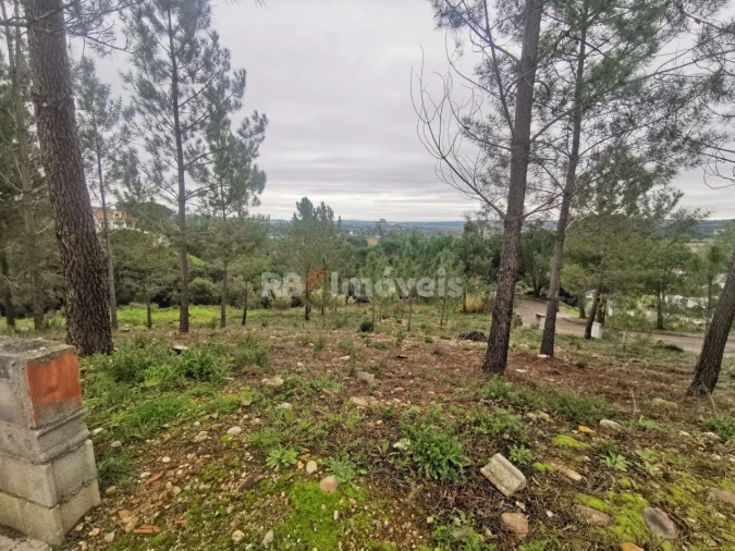 Terreno para Venda em Constancia Foto 5