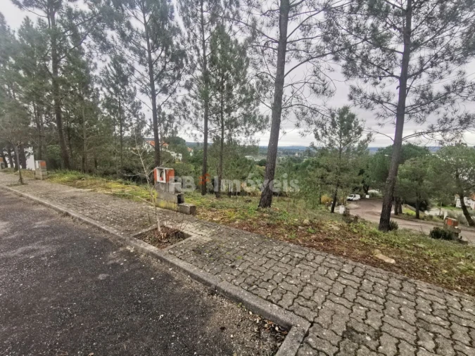 Terreno para Venda em Constancia Foto 6