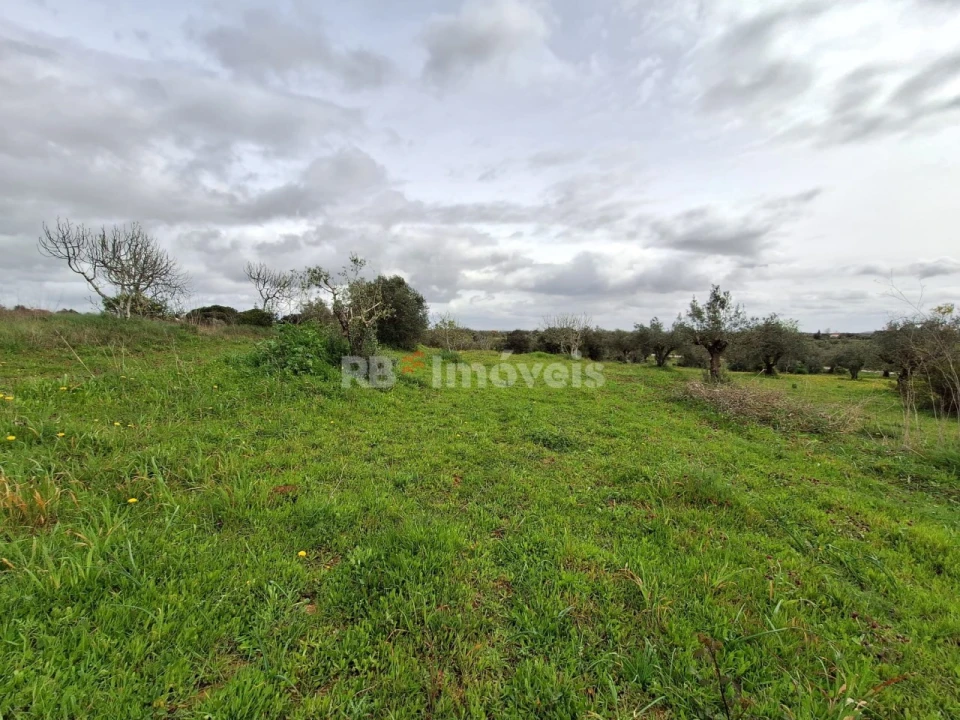 Terreno Agricola ou Rústico para Venda em Paialvo Foto 7
