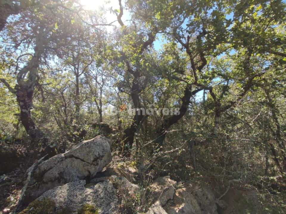 Terreno para Venda em Além da Ribeira e Pedreira Foto 4