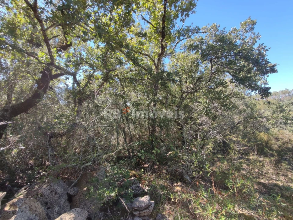 Terreno para Venda em Além da Ribeira e Pedreira Foto 3