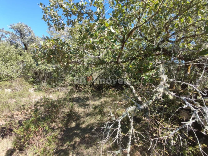 Terreno para Venda em Além da Ribeira e Pedreira