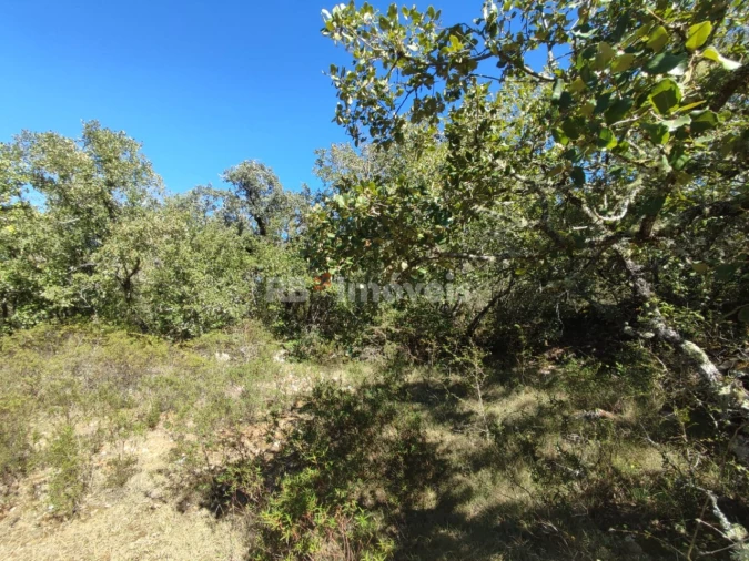 Terreno para Venda em Além da Ribeira e Pedreira Foto 2