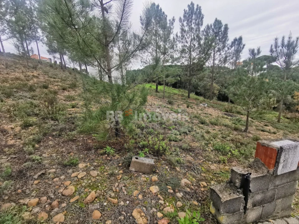 Terreno para Venda em Constancia Foto 2