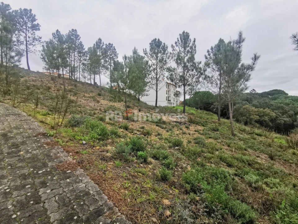 Terreno para Venda em Constancia Foto 5