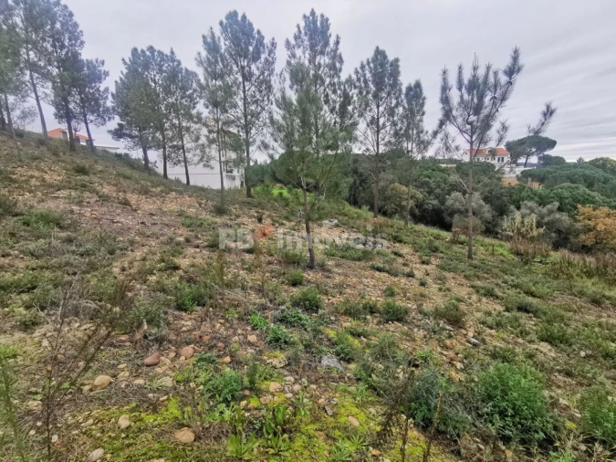 Terreno para Venda em Constancia Foto 1