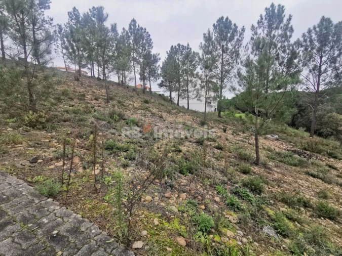 Terreno para Venda em Constancia Foto 3