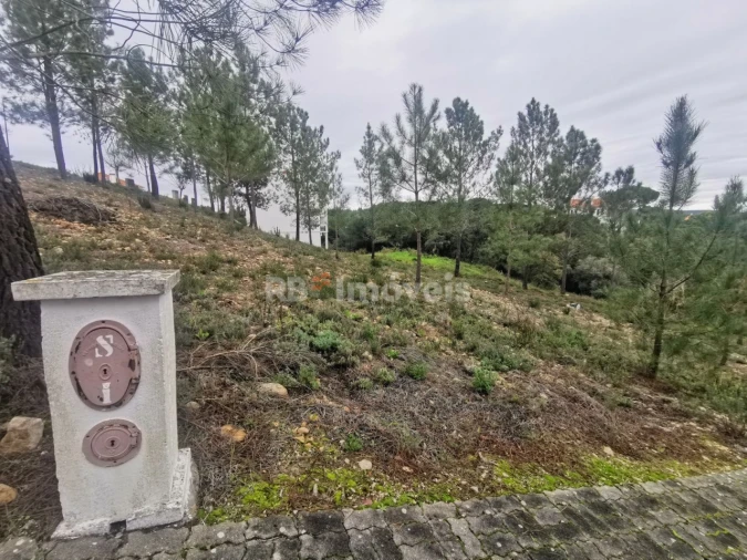 Terreno para Venda em Constancia Foto 4