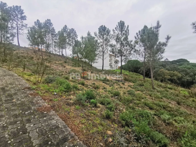 Terreno para Venda em Constancia Foto 5