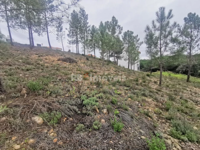 Terreno para Venda em Constancia Foto 6