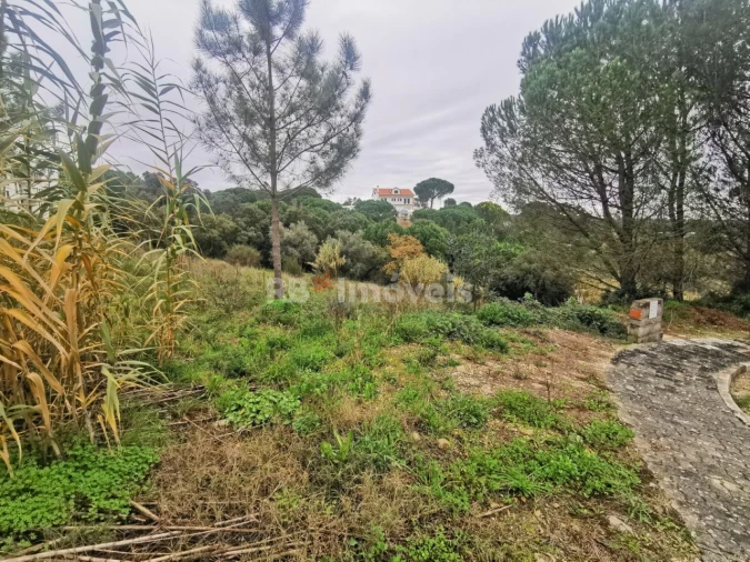 Terreno para Venda em Constancia Foto 1