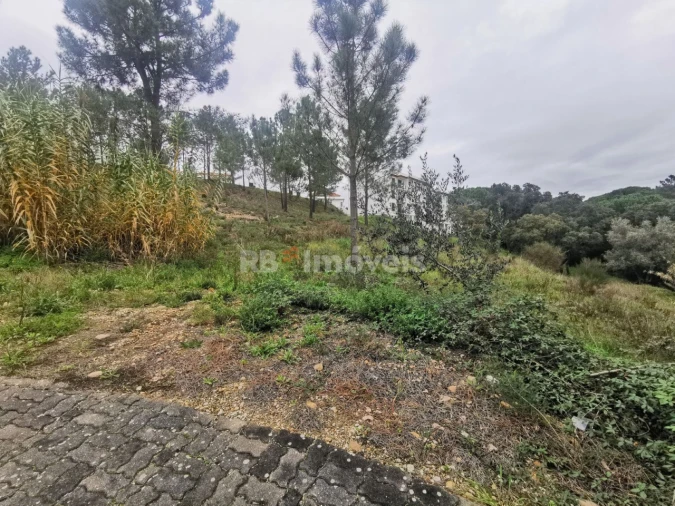 Terreno para Venda em Constancia Foto 3