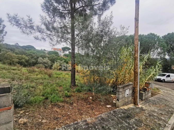 Terreno para Venda em Constancia Foto 4