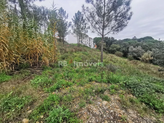 Terreno para Venda em Constancia Foto 5