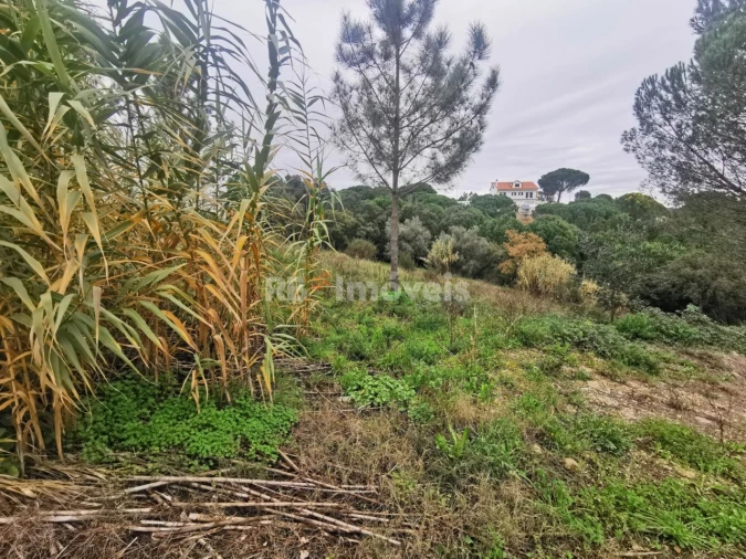 Terreno para Venda em Constancia Foto 6