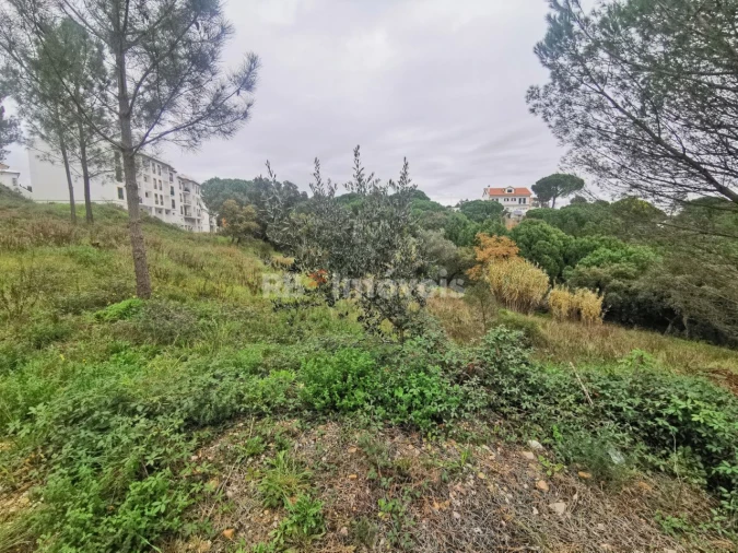 Terreno para Venda em Constancia Foto 2