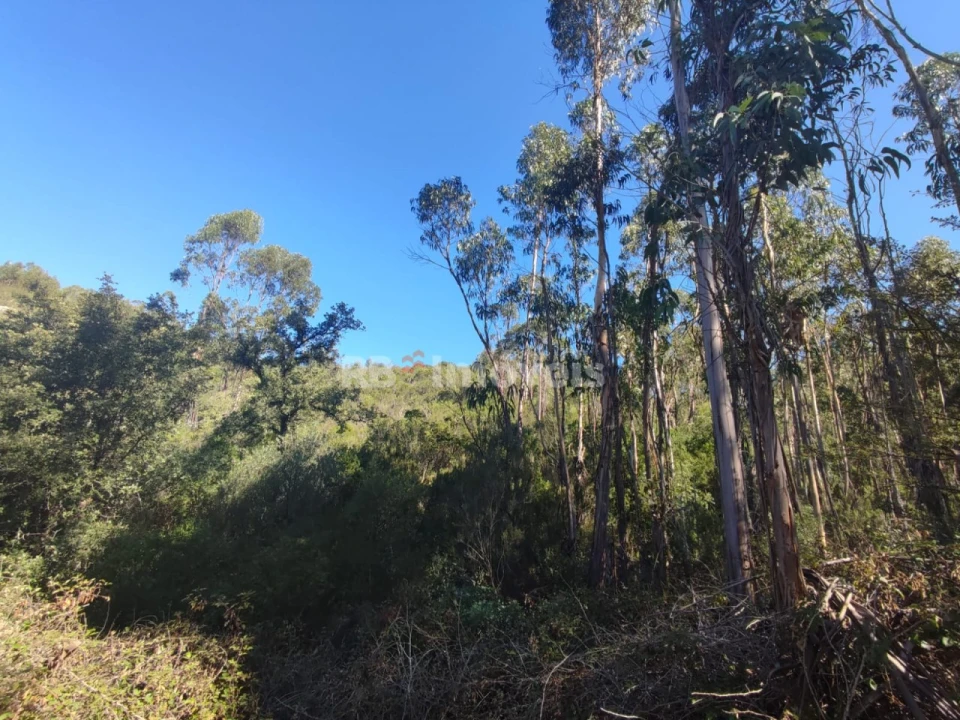 Terreno para Venda em Além da Ribeira e Pedreira Foto 2