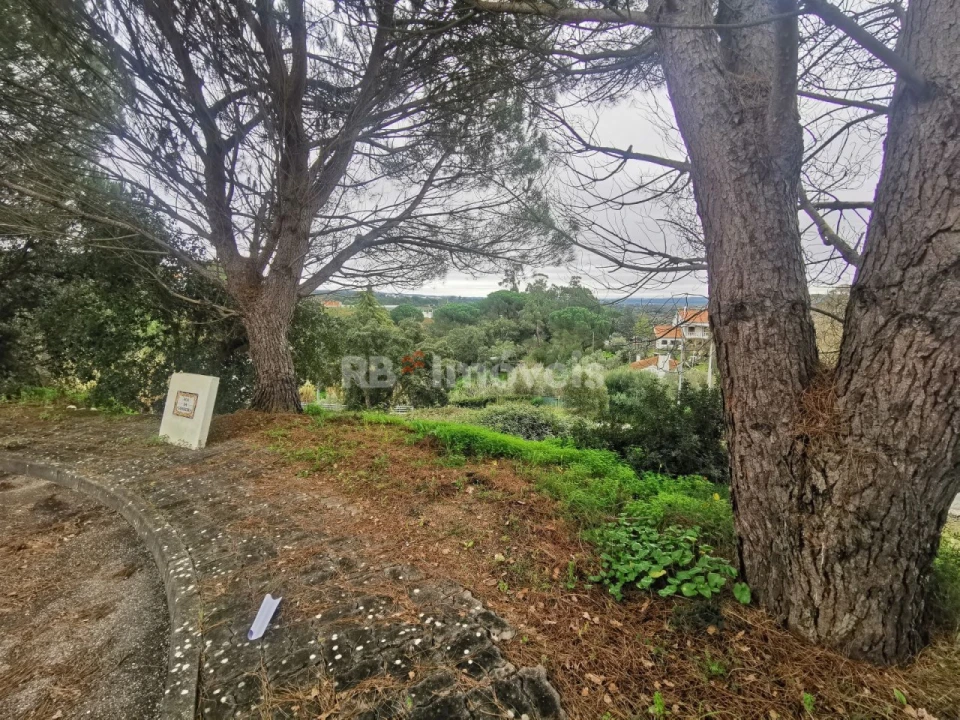 Terreno para Venda em Constancia Foto 2