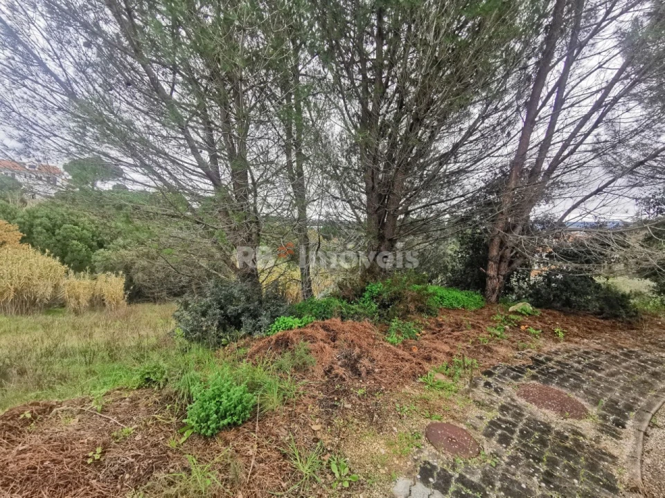 Terreno para Venda em Constancia Foto 3