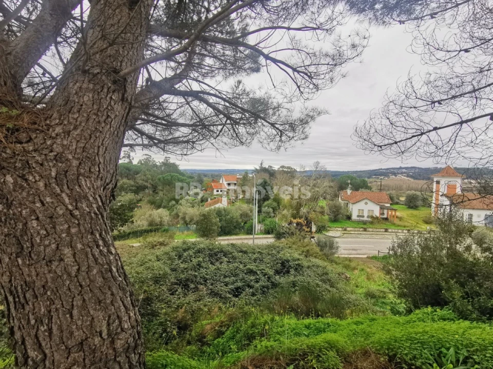 Terreno para Venda em Constancia Foto 4