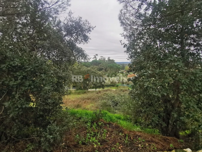 Terreno para Venda em Constancia Foto 5