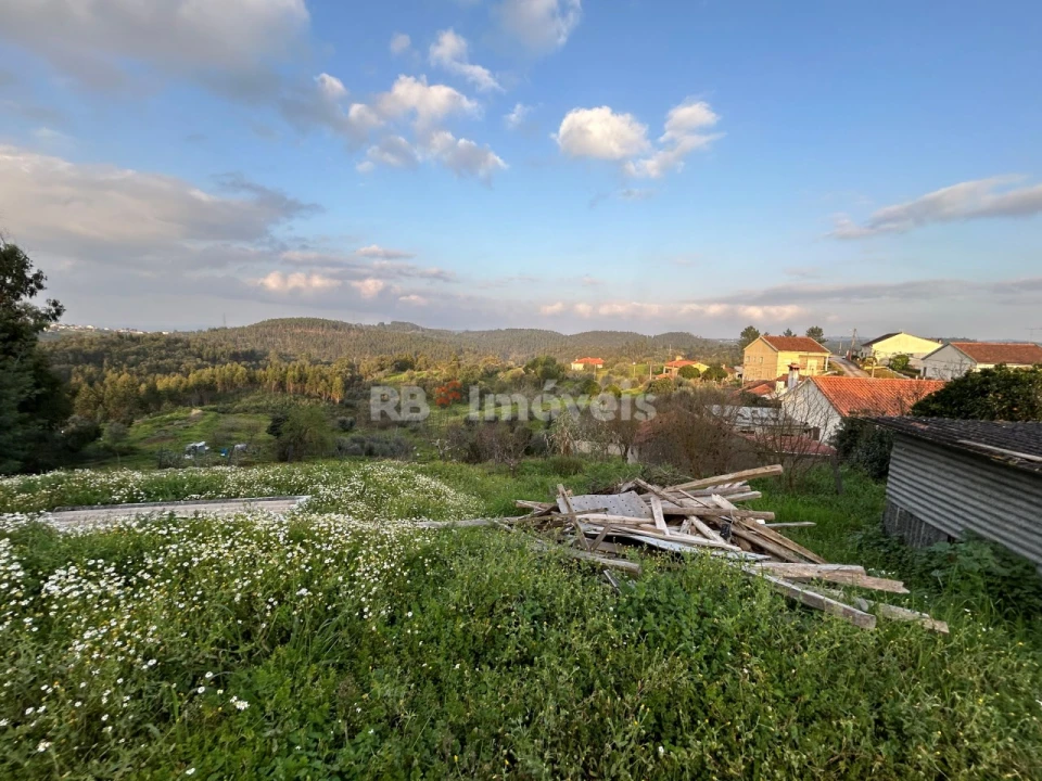 Quinta T3 para Venda em Asseiceira Foto 31