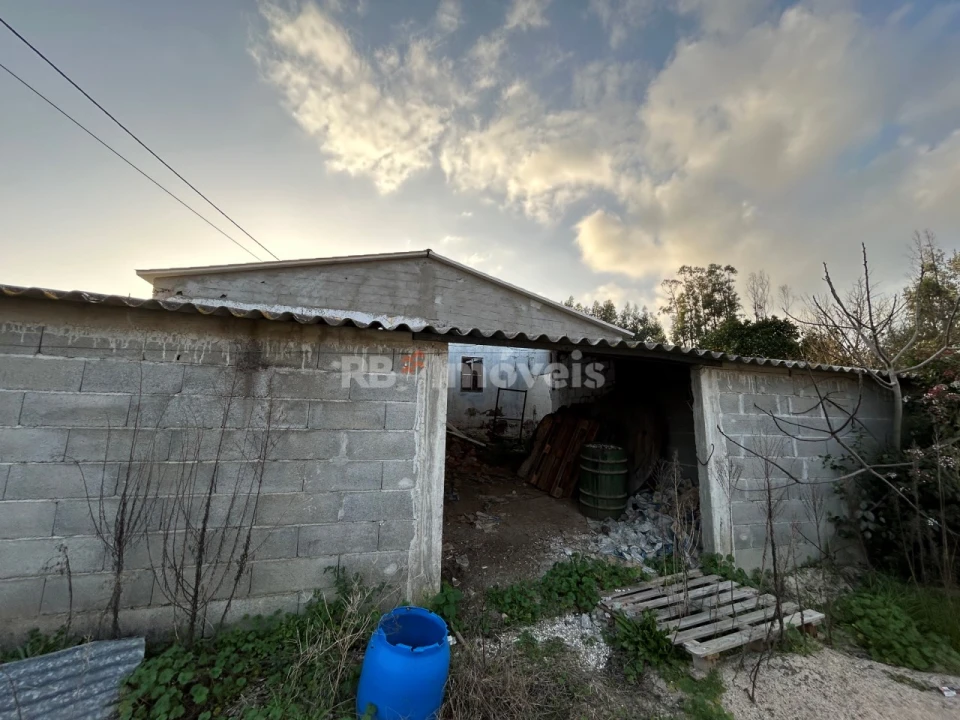 Quinta T3 para Venda em Asseiceira Foto 23