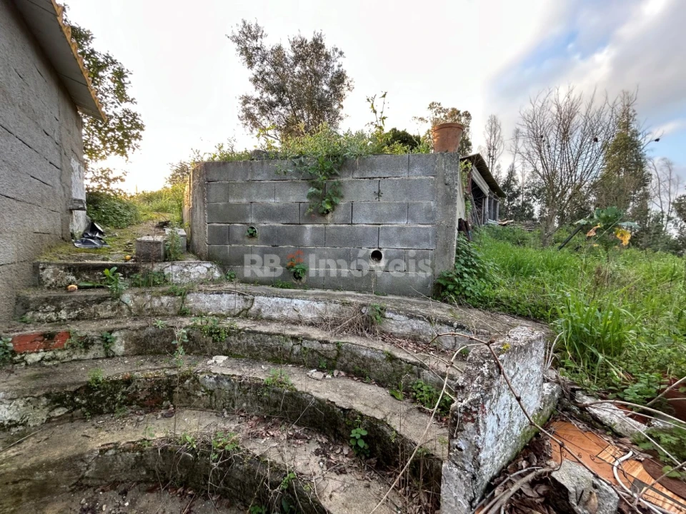 Quinta T3 para Venda em Asseiceira Foto 27