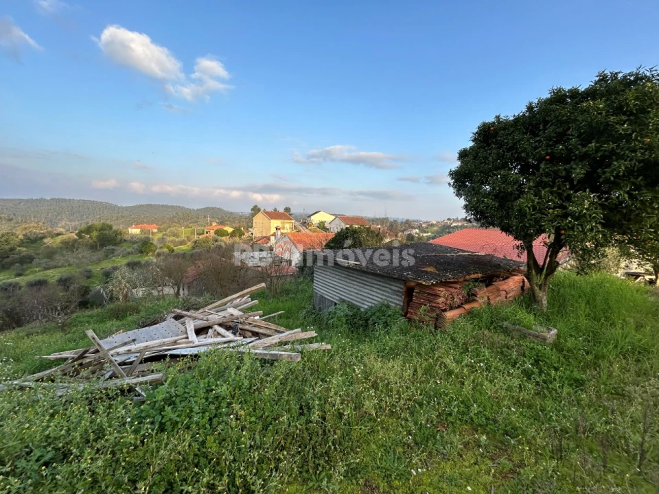 Quinta T3 para Venda em Asseiceira Foto 5