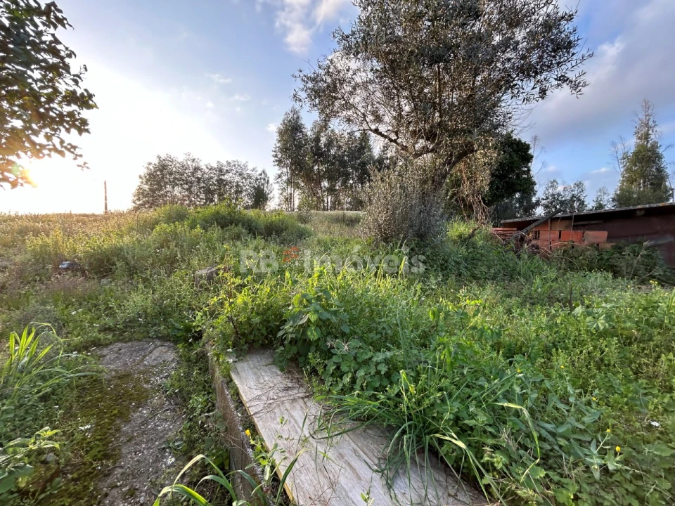 Quinta T3 para Venda em Asseiceira Foto 33