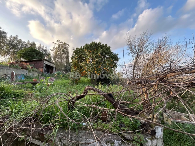 Quinta T3 para Venda em Asseiceira Foto 30