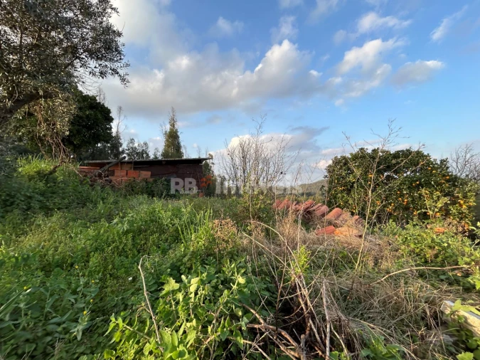 Quinta T3 para Venda em Asseiceira Foto 29