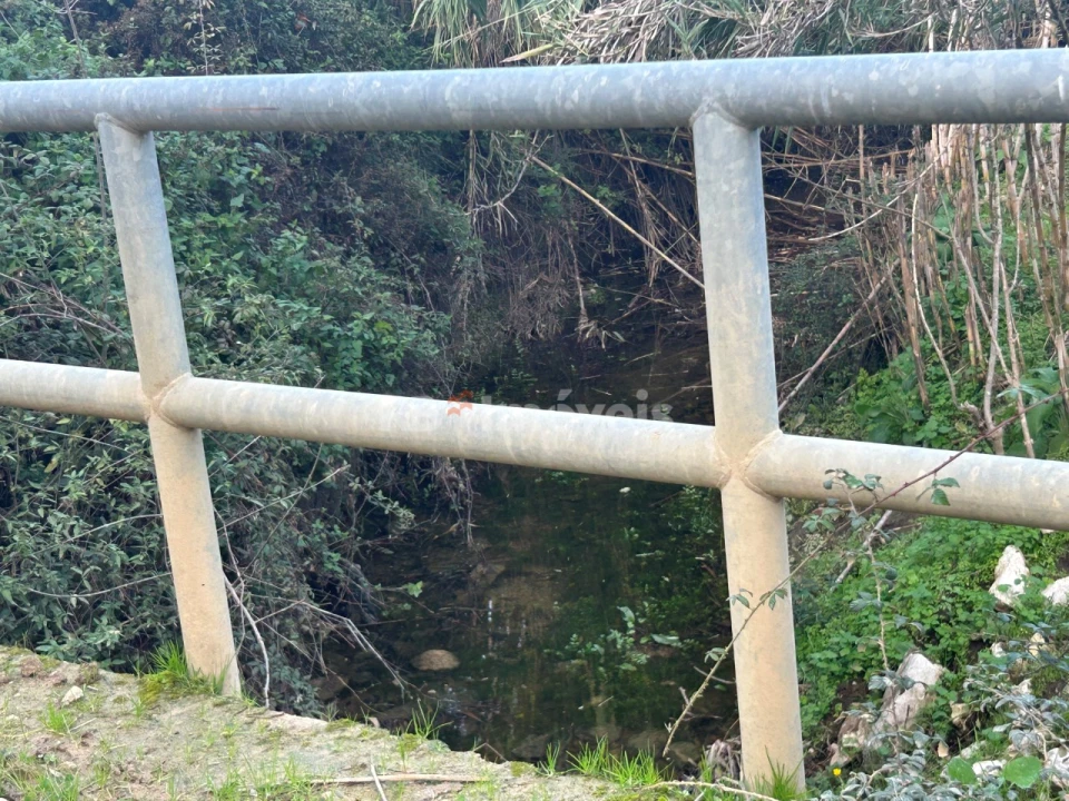 Terreno Agricola ou Rústico para Venda em São Pedro de Tomar Foto 33