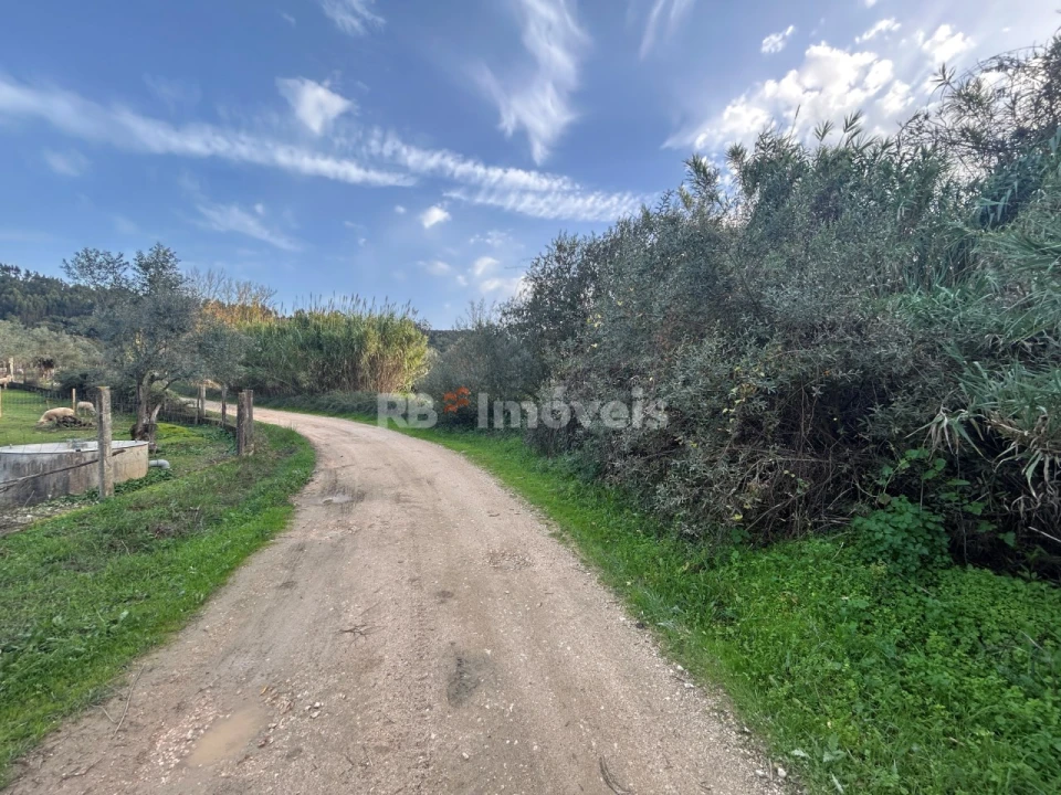 Terreno Agricola ou Rústico para Venda em São Pedro de Tomar Foto 7