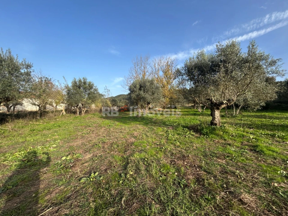 Terreno Agricola ou Rústico para Venda em São Pedro de Tomar Foto 18