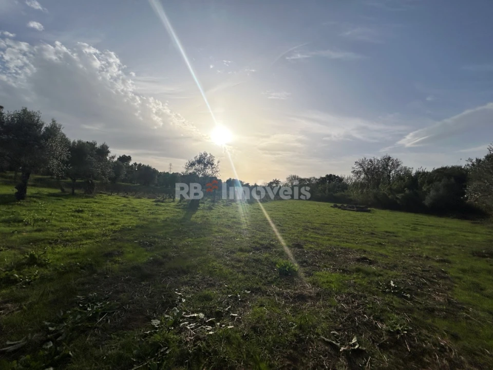 Terreno Agricola ou Rústico para Venda em São Pedro de Tomar Foto 21