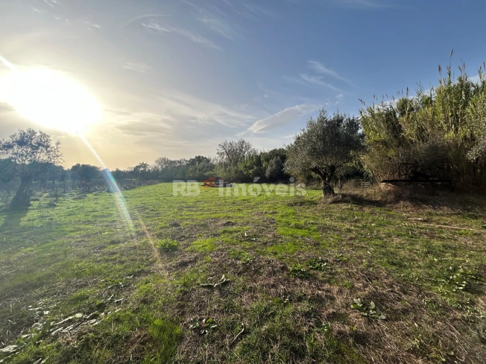 Terreno Agricola ou Rústico para Venda em São Pedro de Tomar Foto 22
