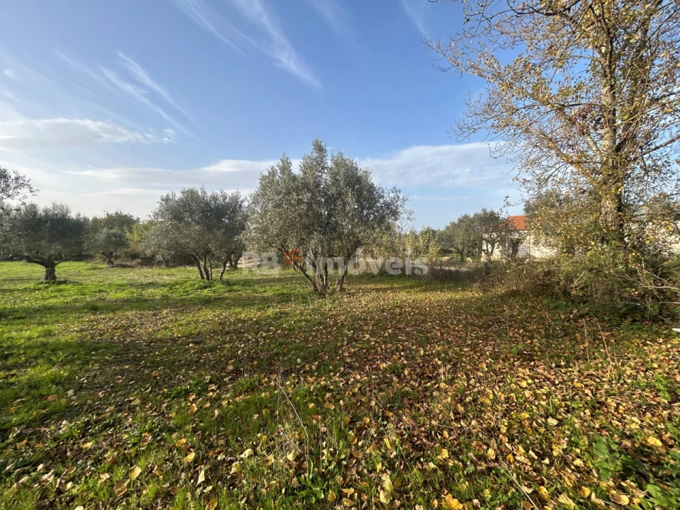Terreno Agricola ou Rústico para Venda em São Pedro de Tomar Foto 29