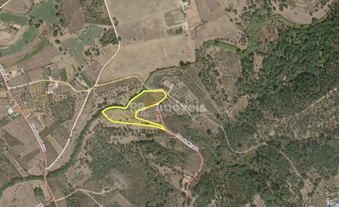 Terreno Agricola ou Rústico para Venda em São Pedro de Tomar Foto 34