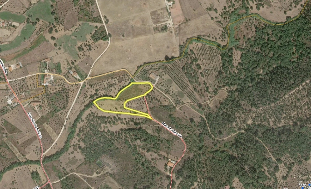Terreno Agricola ou Rústico para Venda em São Pedro de Tomar Planta 2