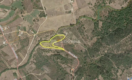 Terreno Agricola ou Rústico para Venda em São Pedro de Tomar