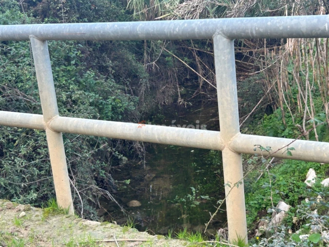 Terreno Agricola ou Rústico para Venda em São Pedro de Tomar Foto 33