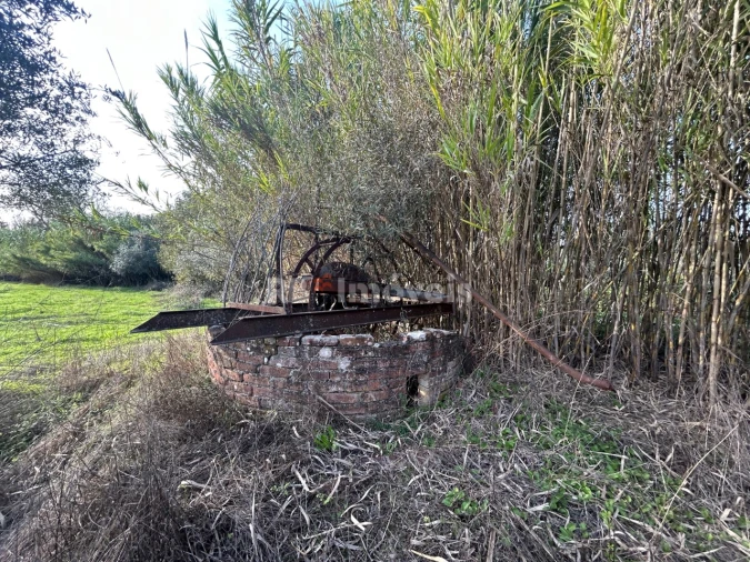 Terreno Agricola ou Rústico para Venda em São Pedro de Tomar