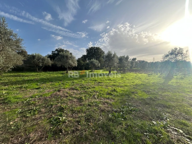 Terreno Agricola ou Rústico para Venda em São Pedro de Tomar Foto 20