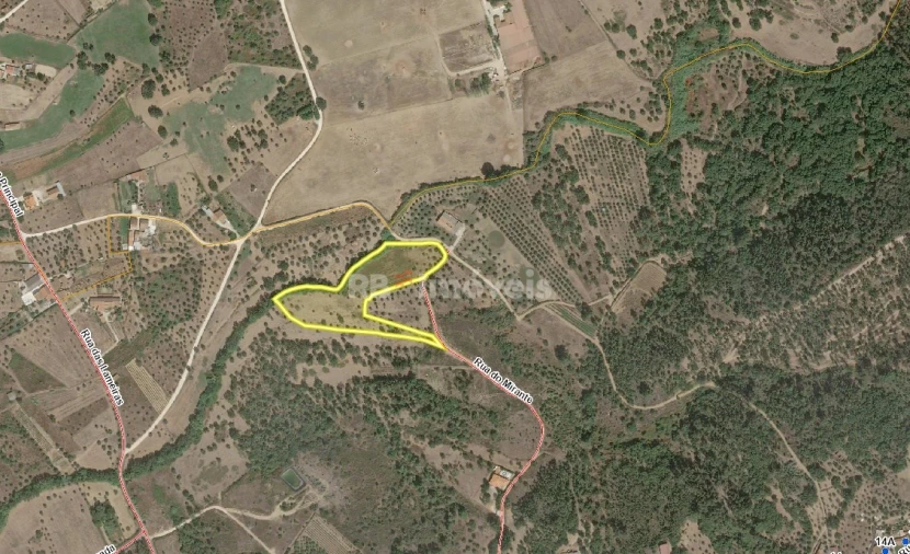Terreno Agricola ou Rústico para Venda em São Pedro de Tomar Foto 34